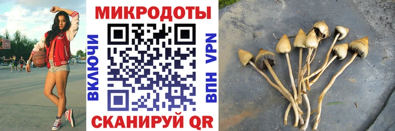 Псилоцибиновые грибы Cubensis Купить закладки Навашино